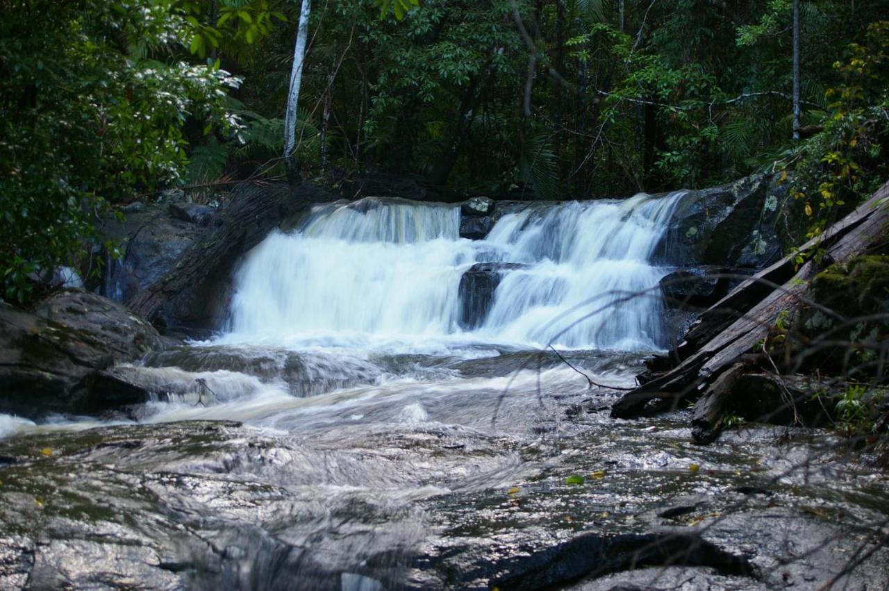 Bellthorpe Stays Maleny Exteriör bild