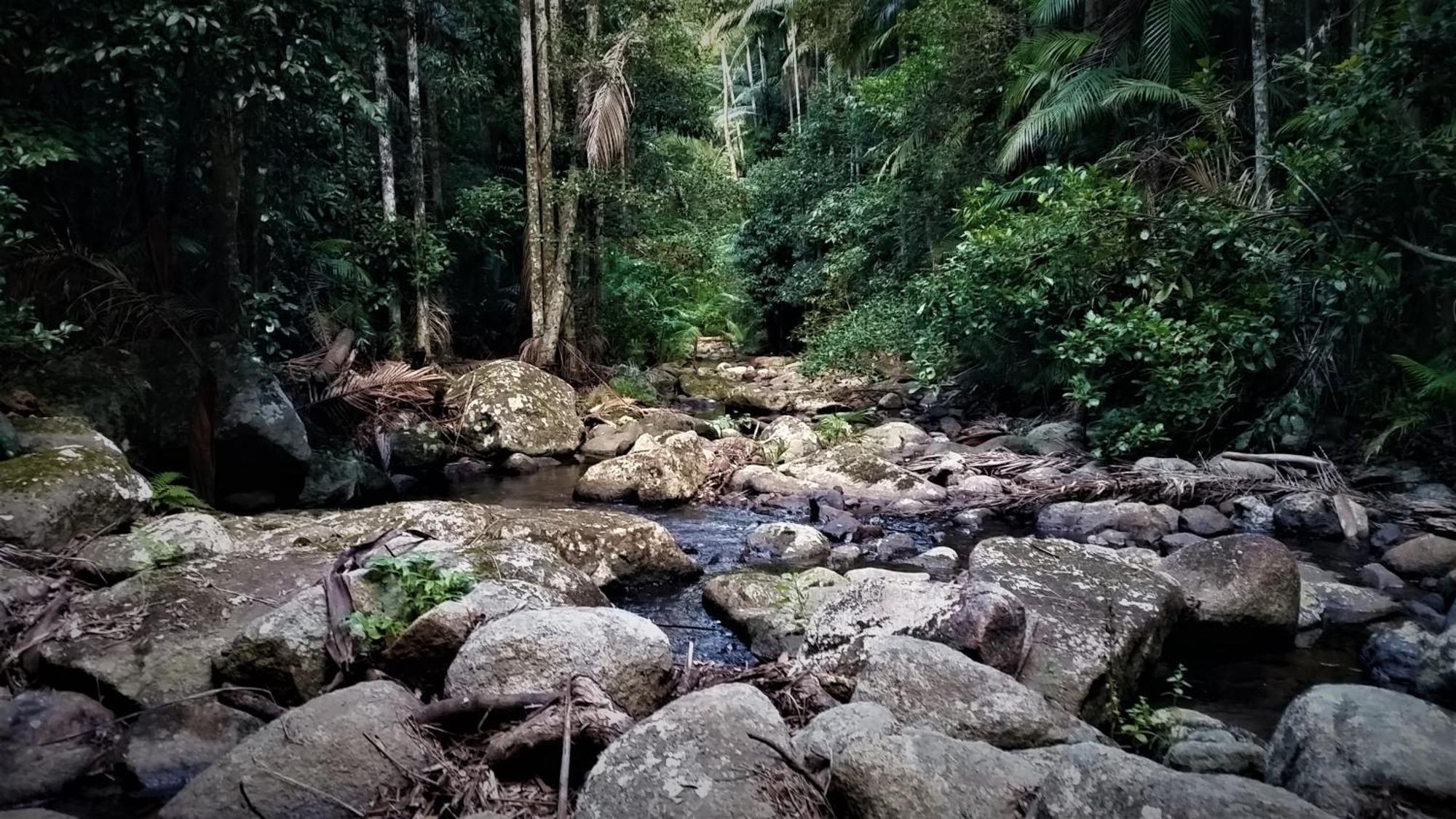Bellthorpe Stays Maleny Exteriör bild