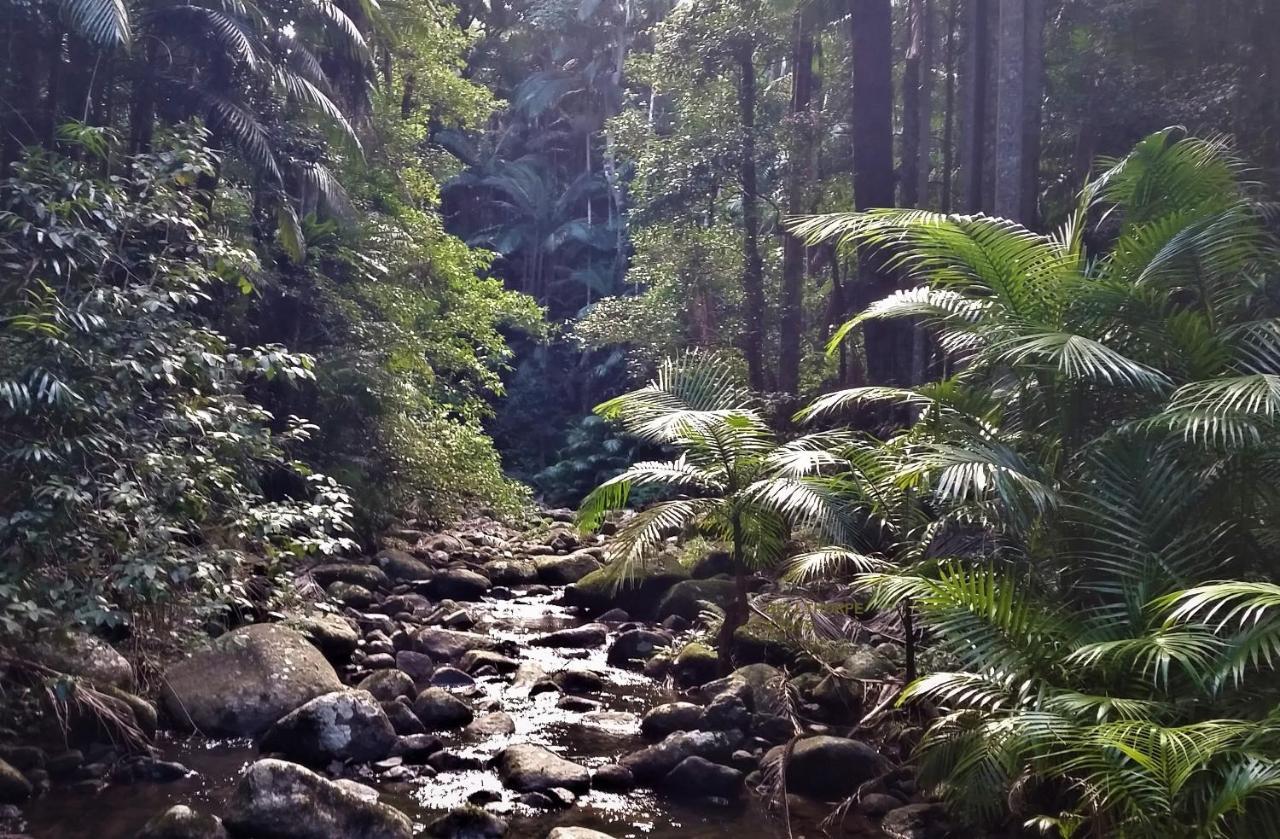Bellthorpe Stays Maleny Exteriör bild