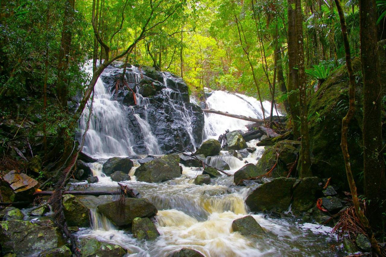Bellthorpe Stays Maleny Exteriör bild