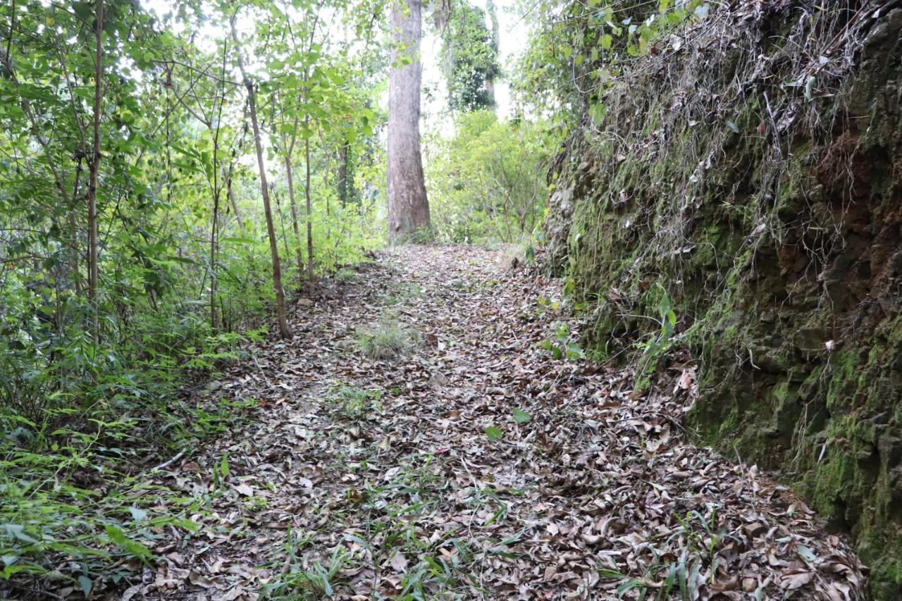 Bellthorpe Stays Maleny Exteriör bild