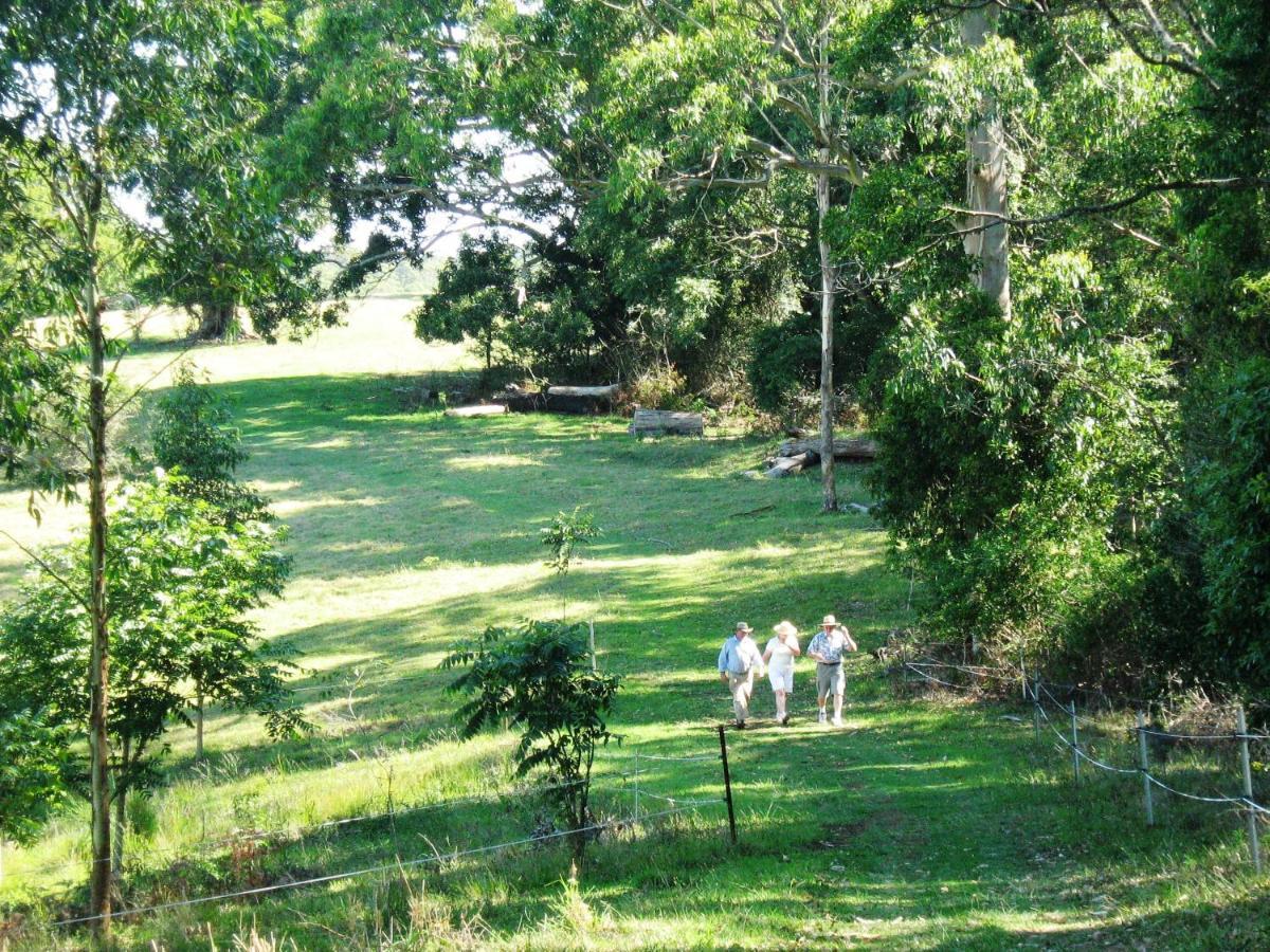 Bellthorpe Stays Maleny Exteriör bild