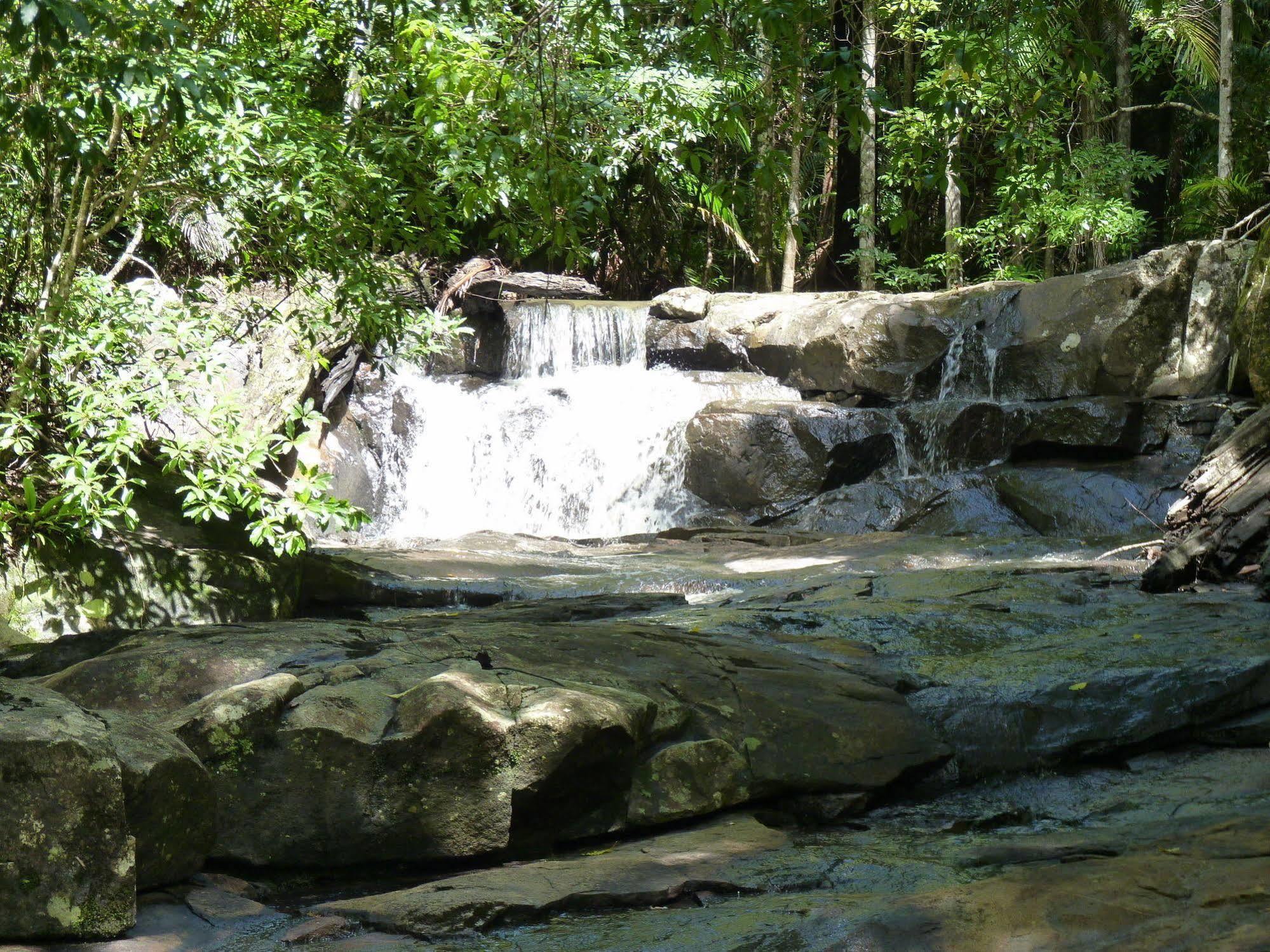 Bellthorpe Stays Maleny Exteriör bild