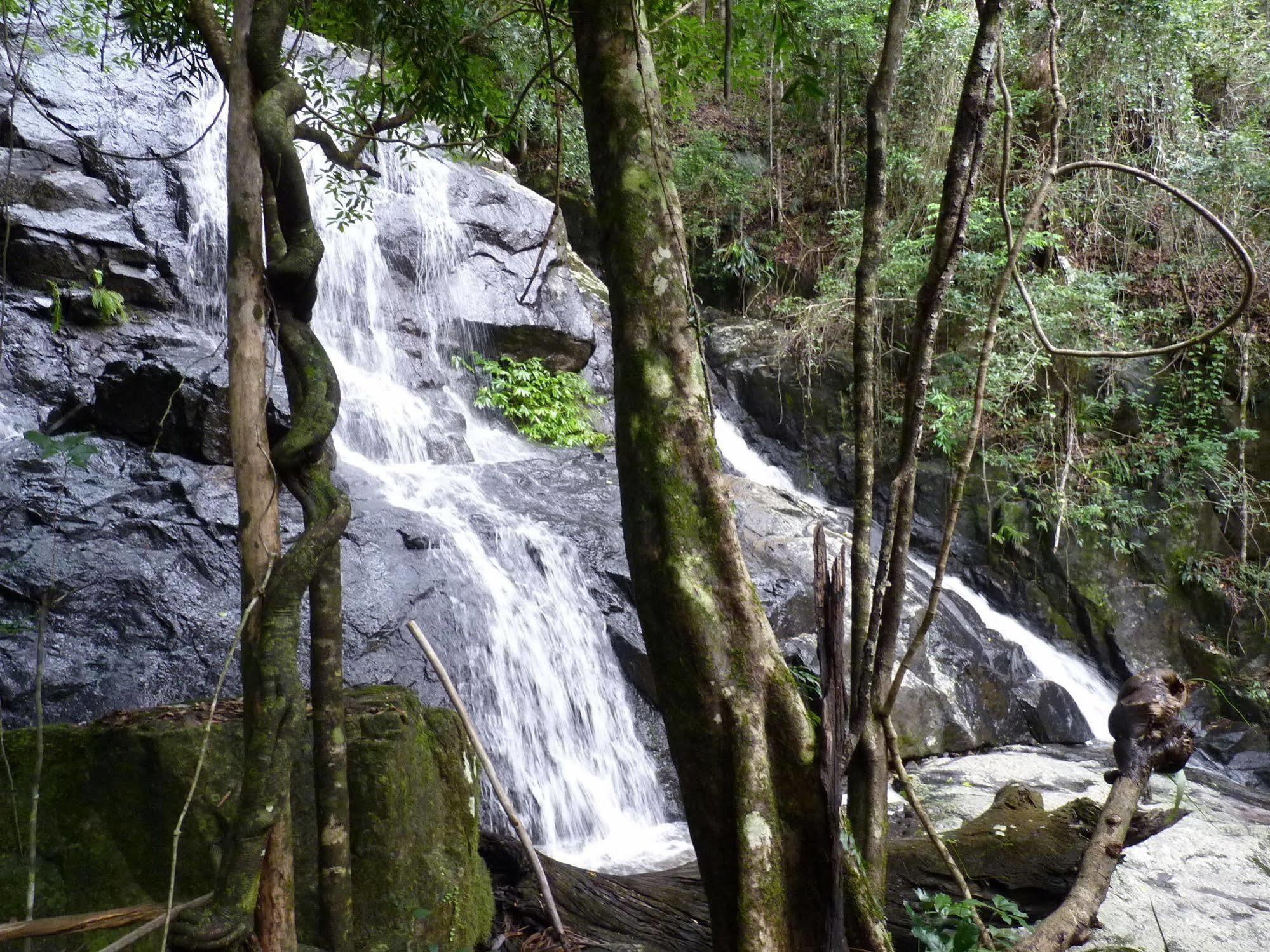 Bellthorpe Stays Maleny Exteriör bild