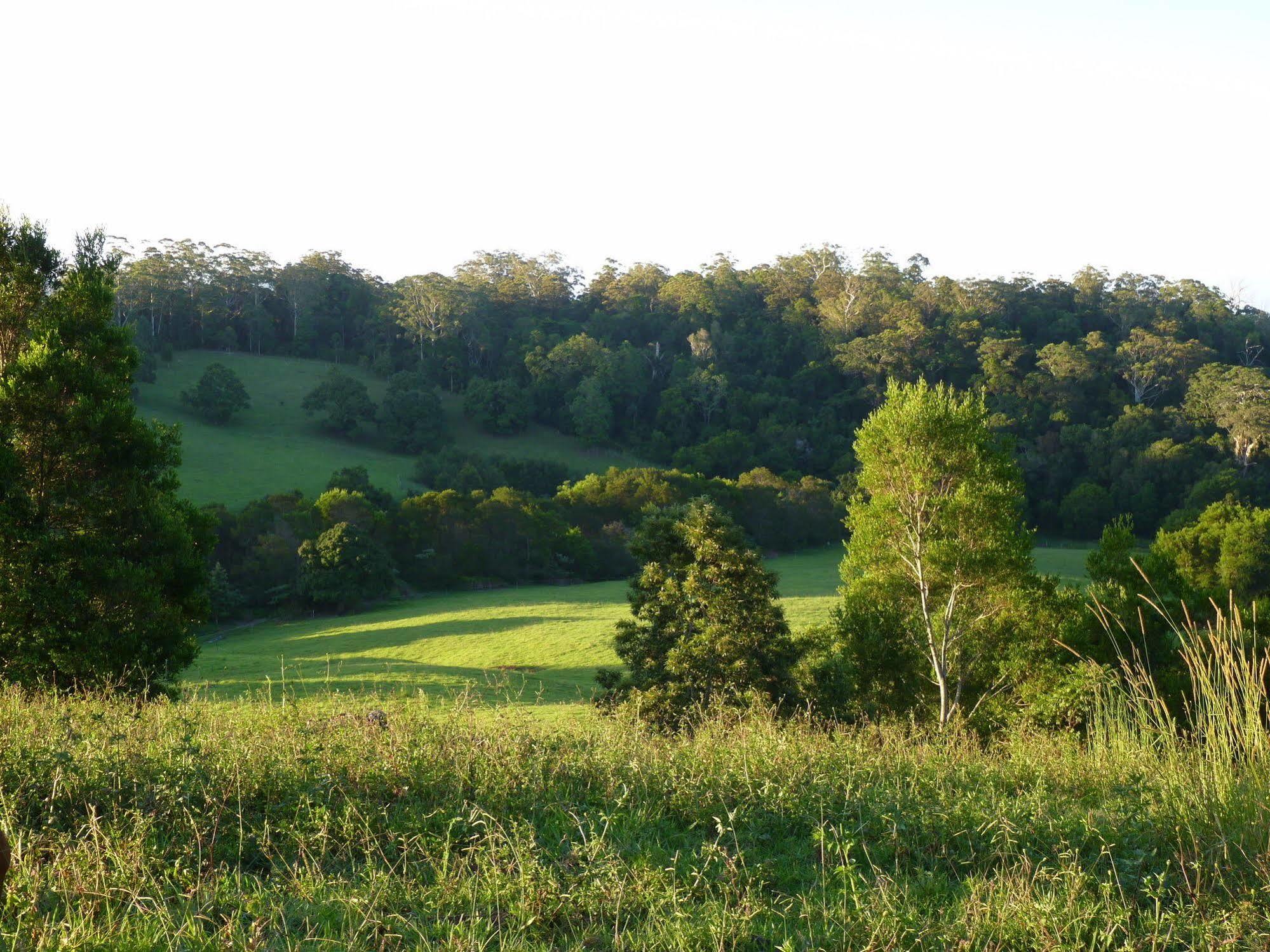 Bellthorpe Stays Maleny Exteriör bild