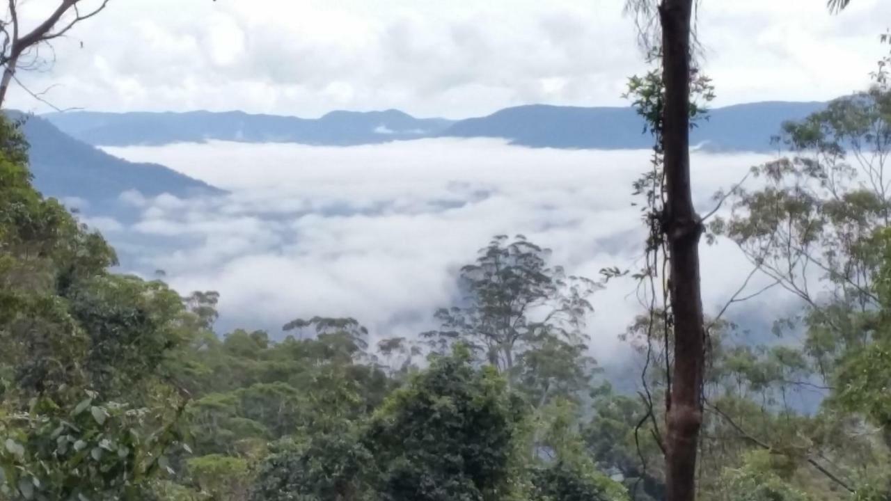 Bellthorpe Stays Maleny Exteriör bild